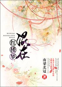 红楼梦再现
