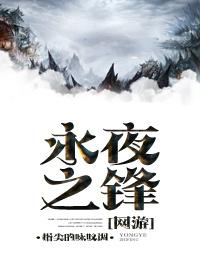 永夜之锋txt宝书网