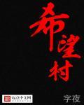 希望村书记个人简历