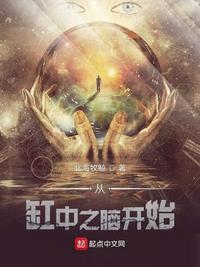 从缸中之脑开始(群星颤栗,从就职枪炮师开始)