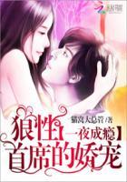 一夜成瘾:狼性首席的娇宠