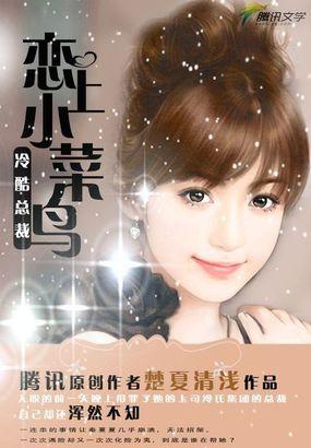 冷酷总裁:恋上小菜鸟