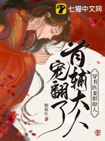 穿书医妻很撩人,首辅大人宠翻了