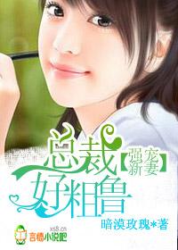 强宠新妻,总裁好粗鲁