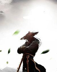 [综武侠]在武侠世界捉妖